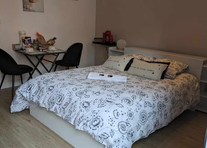 Chez Cerise 住宿加早餐酒店 *